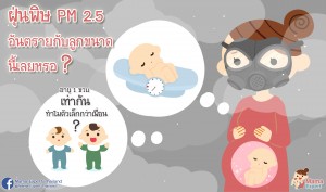 ฝุ่นพิษ PM 2.5 อันตรายที่แม่ท้องไม่ควรมองห้าม!!!