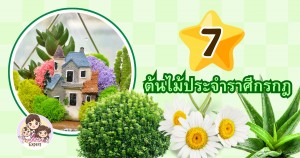 แนะนำ 7 ต้นไม้ประจำราศีกรกฎ ปลูกแล้วดี ช่วยเสริมดวงและโชคลาภ	