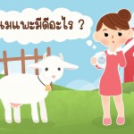 นมแพะมีดีอย่างไร ทำไมถูกใจแม่ๆ