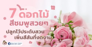 7 ดอกไม้สีชมพูสวยๆ ปลูกไว้ประดับสวน เพิ่มสีสันที่งดงาม