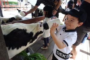 คุณแม่แชร์ประสบการณ์ : ลูกชักจากไข้สูง
