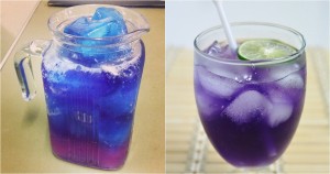 สูตรทำ “น้ำดอกอัญชัน” ดับกระหายคลายร้อน สดชื่นสุดๆ