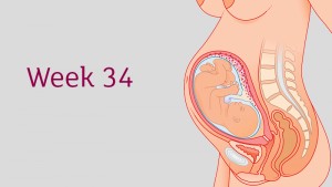 การตั้งครรภ์และพัฒนาการทารกในครรภ์ อายุครรภ์ 34 สัปดาห์