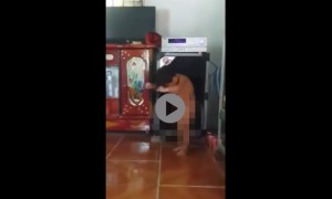 หนูน้อยนักเต้น