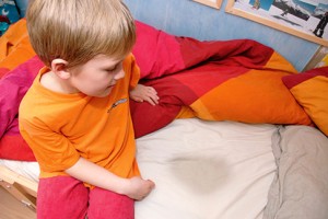 เมนูลูกรัก : ขนมแกะธัญพืช
