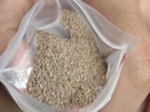 ทรายอะเบท กำจัดลูกน้ำยุงลาย ของดีราคาถูก