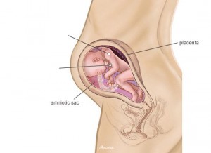 พัฒนาการทารกในครรภ์ 27 สัปดาห์ และการดูแลสุขภาพครรภ์27สัปดาห์