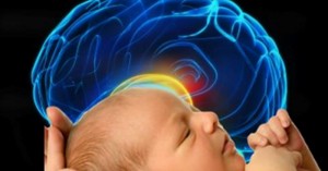 1,000 วันแรก กับ พัฒนาการทางสมอง ของลูกรัก