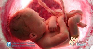 การตรวจความผิดปกติหัวใจของทารกในครรภ์ (Fetal Echocardiogram)