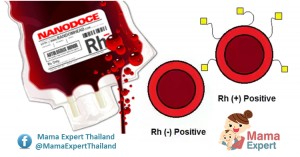 หมู่เลือด Rh+ และ Rh- สำคัญกับทารกในครรภ์อย่างไร