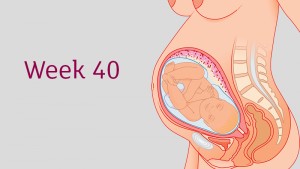 อายุครรภ์ 40 สัปดาห์ ลูกน้อยและคุณแม่เปลี่ยนแปลงอย่างไร?