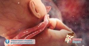 สายสะดือพันคอ ทารกในครรภ์แม่จะรู้ได้อย่างไร
